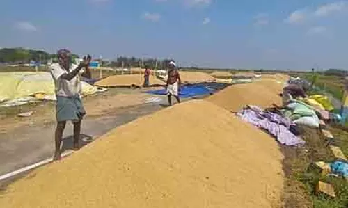 Villupuram ज़िले में आधी रात को भारी बारिश: खरीद केंद्र पर धान की गठरियां भीगी और खराब हो गई Villupuram ज़िले में आधी रात को भारी बारिश: खरीद केंद्र पर धान की गठरियां भीगी और खराब हो गई