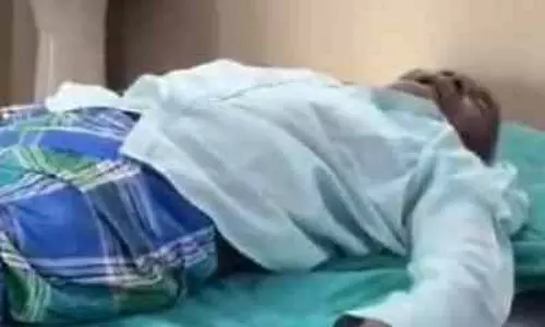 पति-पत्नी पर कहर बनकर झूम पड़े मधुमक्खियों का झुंड, एक की मौत पति-पत्नी पर कहर बनकर झूम पड़े मधुमक्खियों का झुंड, एक की मौत