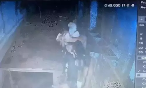 बकरी-बकरों की चोरी, दीवार छेद कर ले जाने वाले चोर पकड़ाए