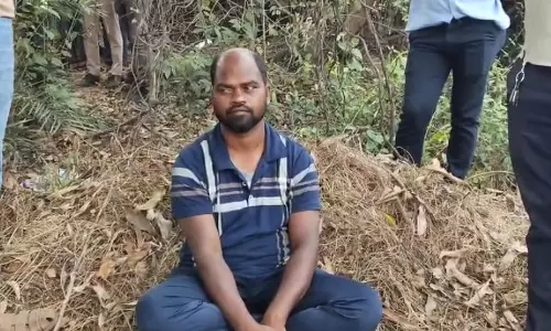रायगढ़ में अफीम की खेत में पकड़ाया आरोपी