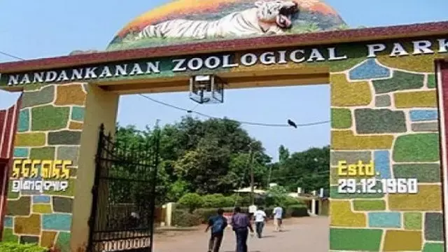 Bhubaneswar: नंदनकानन चिड़ियाघर को जल्द ही 3 प्रजातियों के 18 नए जानवर मिलेंगे