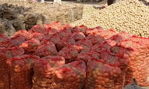 Farrukhabad: सातनपुर मंडी में किसानों को झटका, कीमतों में गिरावट