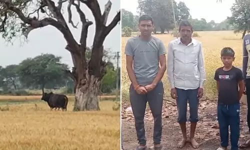 MP : गांव में बेकाबू सांड ने मचाया कोहराम, दिव्यांग बच्चे समेत 15 लोगों पर किया हमला MP : गांव में बेकाबू सांड ने मचाया कोहराम, दिव्यांग बच्चे समेत 15 लोगों पर किया हमला