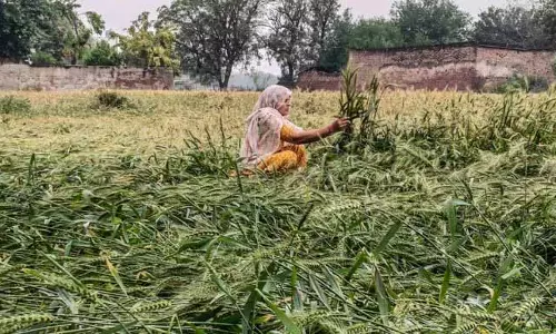 Faridabad में सुबह की बारिश से तापमान में गिरावट आई Faridabad में सुबह की बारिश से तापमान में गिरावट आई