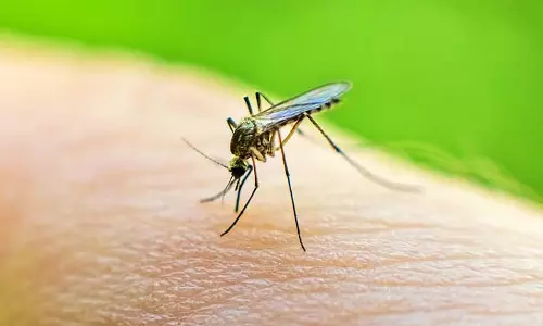दुर्गापुर में dengue से एक व्यक्ति की मौत, घटना ने लिया राजनीतिक रंग दुर्गापुर में dengue से एक व्यक्ति की मौत, घटना ने लिया राजनीतिक रंग