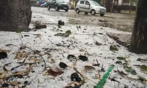 बिहार: ओलावृष्टि के बाद मौसम विभाग ने 16 जिलों में रेड अलर्ट जारी किया