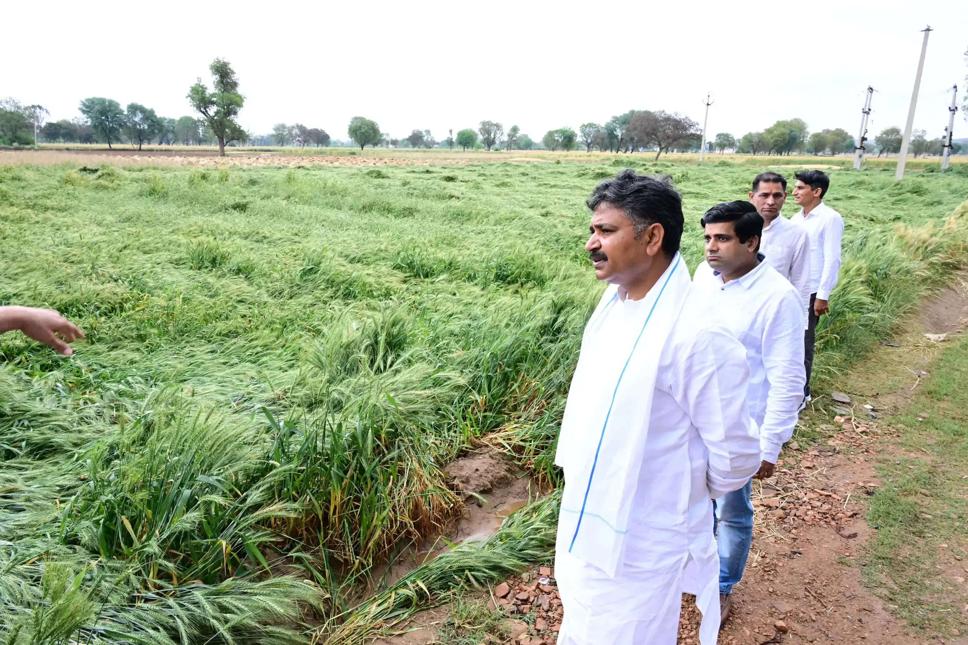 Alwar: बारिश ने किसानों को किया बेहाल, जूली ने प्रभावित क्षेत्रों का किया दौरा Alwar: बारिश ने किसानों को किया बेहाल, जूली ने प्रभावित क्षेत्रों का किया दौरा