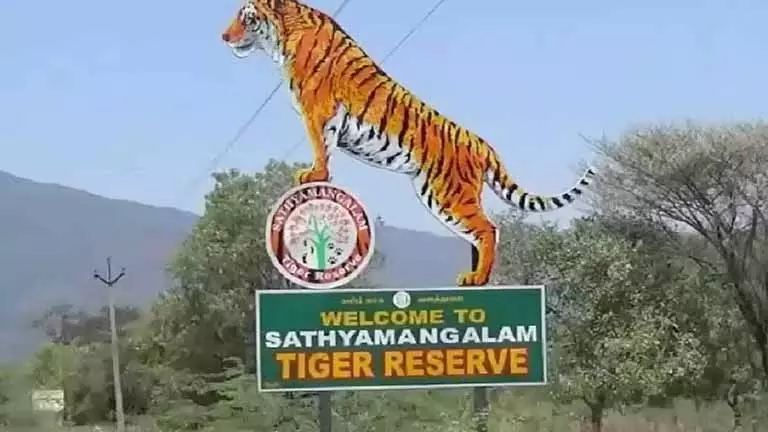 सत्यमंगलम टाइगर रिज़र्व में 42 अवैध रिसॉर्ट सील, तमिलनाडु सरकार ने मद्रास HC को बताया सत्यमंगलम टाइगर रिज़र्व में 42 अवैध रिसॉर्ट सील, तमिलनाडु सरकार ने मद्रास HC को बताया
