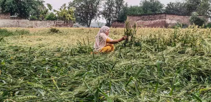 Faridabad में सुबह की बारिश से तापमान में गिरावट आई Faridabad में सुबह की बारिश से तापमान में गिरावट आई
