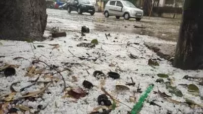 बिहार: ओलावृष्टि के बाद मौसम विभाग ने 16 जिलों में रेड अलर्ट जारी किया बिहार: ओलावृष्टि के बाद मौसम विभाग ने 16 जिलों में रेड अलर्ट जारी किया