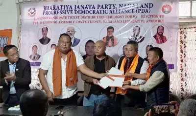 Nagaland Bypoll: BJP ने PDA उम्मीदवार के तौर पर दाओचियर आई इम्चेन को टिकट दिया Nagaland Bypoll: BJP ने PDA उम्मीदवार के तौर पर दाओचियर आई इम्चेन को टिकट दिया
