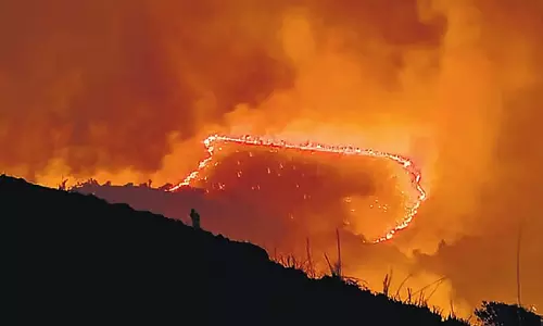 Kudremukh राष्ट्रीय उद्यान में जंगल की आग: 18 एकड़ जंगल जलकर राख Kudremukh राष्ट्रीय उद्यान में जंगल की आग: 18 एकड़ जंगल जलकर राख