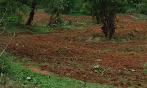 वन भूमि को खेत बना रहे थे, जेसीबी और ट्रैक्टर को किया गया सीज