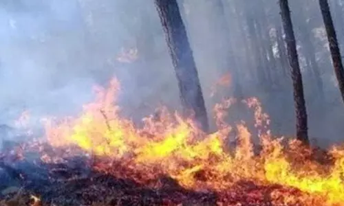 सरगुजा वनमण्डल में वनाग्नि से बचाव की व्यापक तैयारी, टोल फ्री हेल्पलाइन नंबर जारी सरगुजा वनमण्डल में वनाग्नि से बचाव की व्यापक तैयारी, टोल फ्री हेल्पलाइन नंबर जारी