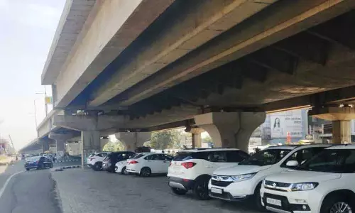 Ferozepur Road के किनारे बनी ग्रीन बेल्ट्स पार्किंग लॉट में बदल गईं, NGT को बताया गया