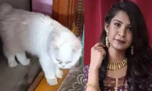 एक और युवती ने suicide कर ली, जिसने एक बिल्ली के लिए अपनी कीमती जान की परवाह नहीं की