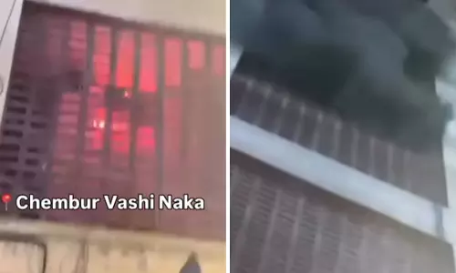 Mumbai : चेंबूर की एक इमारत में भीषण आग लगने के बाद 40 से ज़्यादा जानवरों को बचाया गया