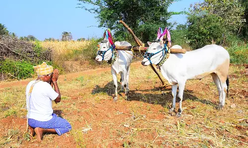 Ugadi लाई खुशियाँ: नीम और गुड़ बांटे गए, और पर्व की शुभकामनाओं का आदान-प्रदान हुआ Ugadi लाई खुशियाँ: नीम और गुड़ बांटे गए, और पर्व की शुभकामनाओं का आदान-प्रदान हुआ