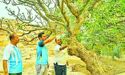 Bilagi : पक्षियों की प्यास बुझाते युवा Bilagi : पक्षियों की प्यास बुझाते युवा