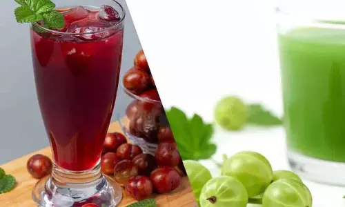 Kokum Vs Amla: गर्मियों की तेज़ गर्मी में किस जूस से हमें ज़्यादा फ़ायदे मिलते हैं? Kokum Vs Amla: गर्मियों की तेज़ गर्मी में किस जूस से हमें ज़्यादा फ़ायदे मिलते हैं?
