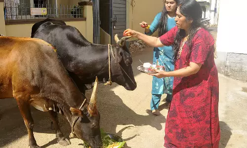 Chikkamagaluru : जिले में हर जगह उत्साह और खुशी के साथ उगादि मनाया गया