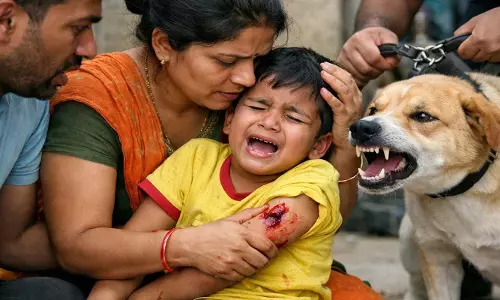 टिकरापारा में बच्चे पर पालतू कुत्ते ने किया हमला, FIR दर्ज टिकरापारा में बच्चे पर पालतू कुत्ते ने किया हमला, FIR दर्ज
