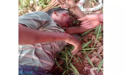 ताड़ के पेड़ से गिरने के बाद Geeta worker गंभीर रूप से घायल हो गया