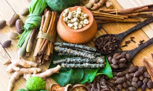 महिलाओं का स्वास्थ्य: बेहतर स्वास्थ्य लाभों के लिए वे रोज़ाना इन  Ayurvedic Herbs का सेवन कर सकती