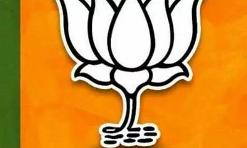 मध्य प्रदेश: भाजपा महिला मोर्चा ने नए पदाधिकारियों की घोषणा की मध्य प्रदेश: भाजपा महिला मोर्चा ने नए पदाधिकारियों की घोषणा की