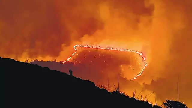Kudremukh राष्ट्रीय उद्यान में जंगल की आग: 18 एकड़ जंगल जलकर राख Kudremukh राष्ट्रीय उद्यान में जंगल की आग: 18 एकड़ जंगल जलकर राख