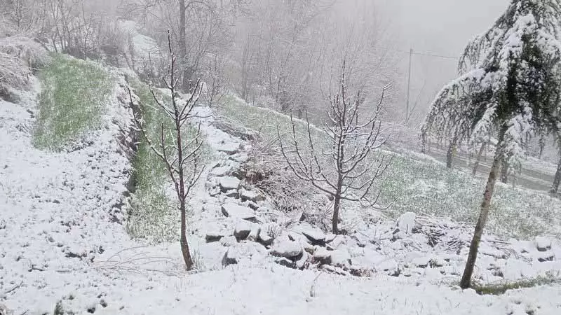 Pangi में जनजीवन प्रभावित Pangi में जनजीवन प्रभावित