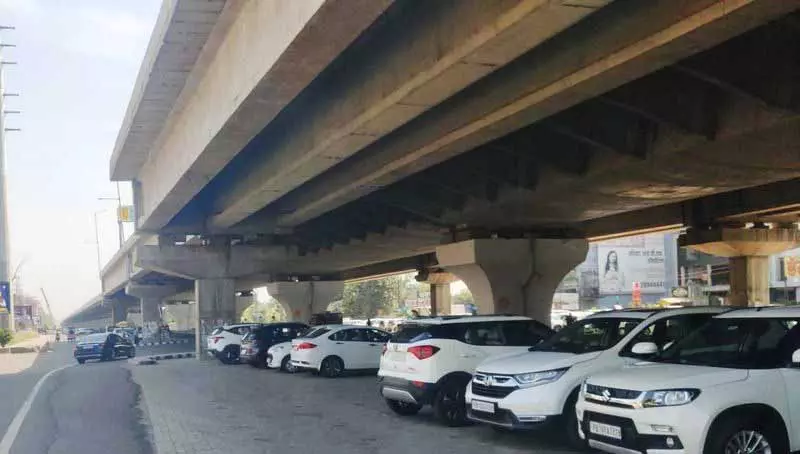 Ferozepur Road के किनारे बनी ग्रीन बेल्ट्स पार्किंग लॉट में बदल गईं, NGT को बताया गया Ferozepur Road के किनारे बनी ग्रीन बेल्ट्स पार्किंग लॉट में बदल गईं, NGT को बताया गया