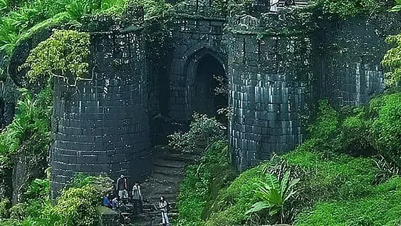 Pune : सिंहगढ़ के पास 400 फुट की ऊंचाई से गिरने के बाद भी बचे ट्रैकर्स Pune : सिंहगढ़ के पास 400 फुट की ऊंचाई से गिरने के बाद भी बचे ट्रैकर्स