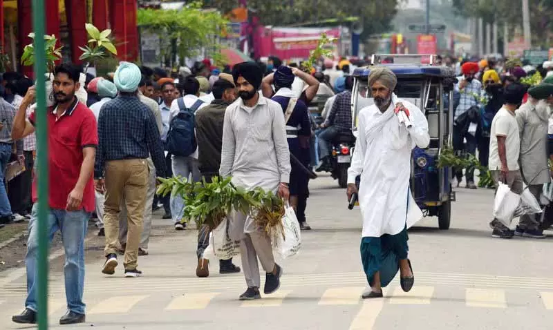 Punjab के 10 प्रगतिशील किसानों ने किसान और पशुपालन मेलों के दौरान प्रतिष्ठित पुरस्कार जीते Punjab के 10 प्रगतिशील किसानों ने किसान और पशुपालन मेलों के दौरान प्रतिष्ठित पुरस्कार जीते
