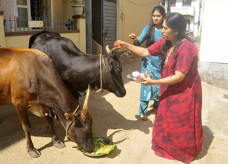 Chikkamagaluru : जिले में हर जगह उत्साह और खुशी के साथ उगादि मनाया गया Chikkamagaluru : जिले में हर जगह उत्साह और खुशी के साथ उगादि मनाया गया