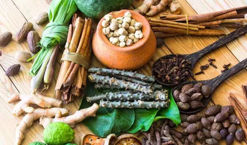 महिलाओं का स्वास्थ्य: बेहतर स्वास्थ्य लाभों के लिए वे रोज़ाना इन Ayurvedic Herbs का सेवन कर सकती महिलाओं का स्वास्थ्य: बेहतर स्वास्थ्य लाभों के लिए वे रोज़ाना इन Ayurvedic Herbs का सेवन कर सकती