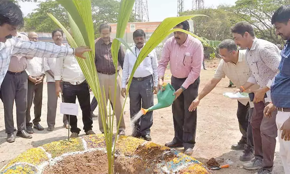 RINL ने 100 नारियल के पौधे लगाकर ‘अंतर्राष्ट्रीय वन दिवस’ मनाया RINL ने 100 नारियल के पौधे लगाकर ‘अंतर्राष्ट्रीय वन दिवस’ मनाया