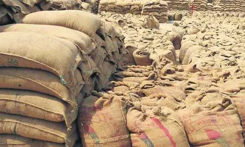 Yamunanagar CIA ने धान गबन मामले में हाफेड अधिकारी को गिरफ्तार किया Yamunanagar CIA ने धान गबन मामले में हाफेड अधिकारी को गिरफ्तार किया