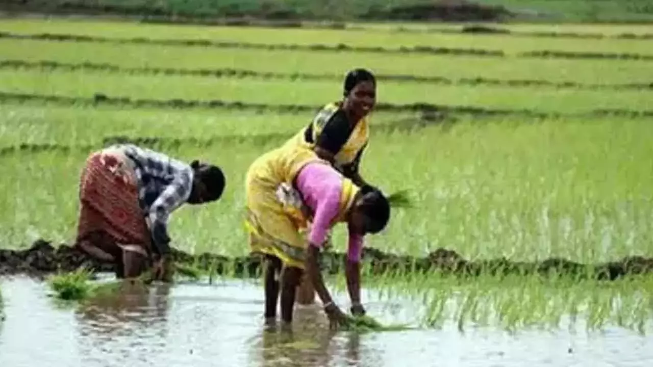 Telangana किसान संघ ने बजट कटौती की कड़ी आलोचना की