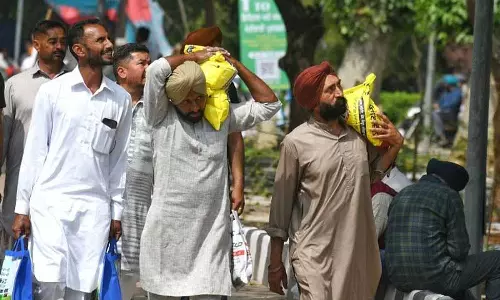 स्थिरता सुनिश्चित करने के लिए फसल विविधीकरण आवश्यक, Ludhiana में किसान मेले में विशेषज्ञों ने कहा