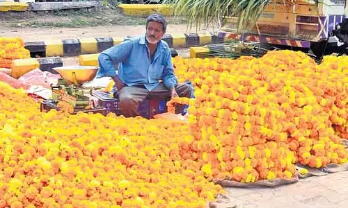 Karnataka के गडग में बेमौसम बारिश से फूल उत्पादकों को भारी नुकसान