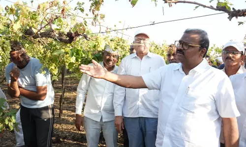 बेमौसम बारिश से नासिक की फसलें तबाह; पूर्व MP ने व्यापक क्षति आकलन के आदेश दिए बेमौसम बारिश से नासिक की फसलें तबाह; पूर्व MP ने व्यापक क्षति आकलन के आदेश दिए