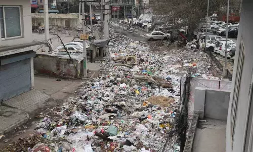 प्रताप बाग रोड पर फैला कूड़ा Jalandhar के निवासियों को परेशान कर रहा है