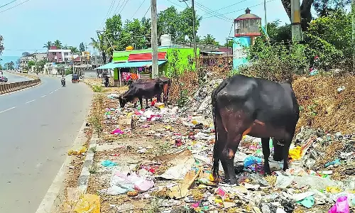 Chikkamagaluru : रामपुर मुख्य मार्ग पर कूड़े का ढेर Chikkamagaluru : रामपुर मुख्य मार्ग पर कूड़े का ढेर