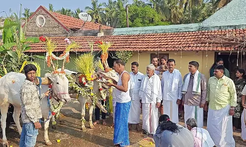 Ugadi : किसान लाल घंटा लगाकर मना रहे हैं जश्न Ugadi : किसान लाल घंटा लगाकर मना रहे हैं जश्न