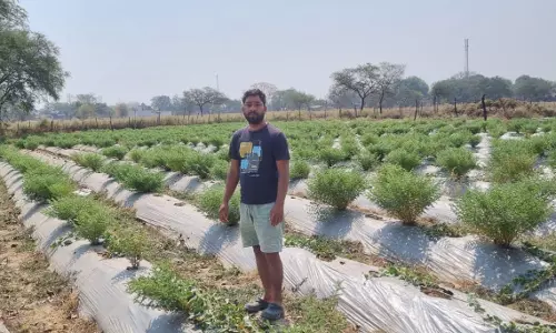 बी फार्मेसी पढ़े युवा ने खेती में तलाशी स्वरोजगार, सफल किसान बनकर उभरा