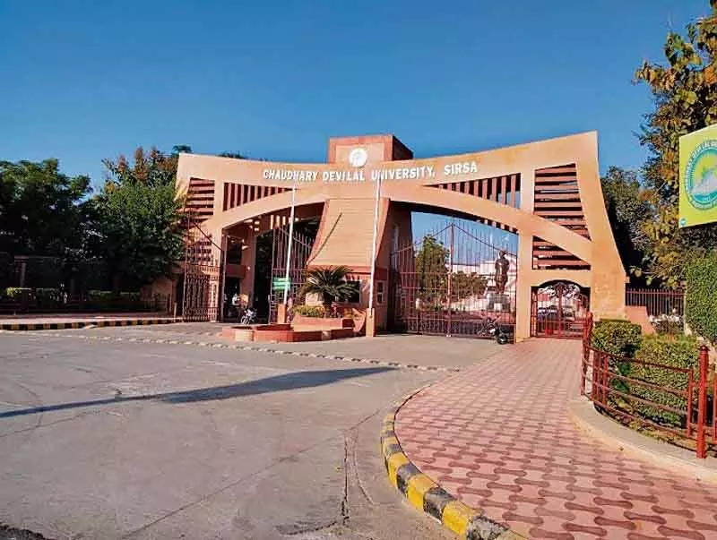 Sirsa यूनिवर्सिटी के विधि विभाग प्रमुख बने बिना कानूनी पृष्ठभूमि वाले प्रोफ़ेसर Sirsa यूनिवर्सिटी के विधि विभाग प्रमुख बने बिना कानूनी पृष्ठभूमि वाले प्रोफ़ेसर