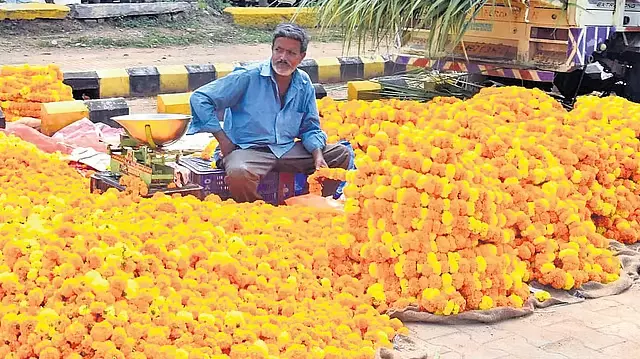 Gadag में बेमौसम बारिश: फूल उत्पादकों को भारी नुकसान, किसान संकट में Gadag में बेमौसम बारिश: फूल उत्पादकों को भारी नुकसान, किसान संकट में