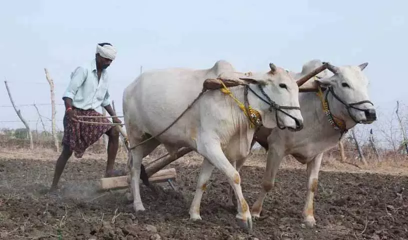 Siddipet: फसल क्षति मुआवजे पर रेवंत के झूठ ने किसानों को चौंका दिया Siddipet: फसल क्षति मुआवजे पर रेवंत के झूठ ने किसानों को चौंका दिया