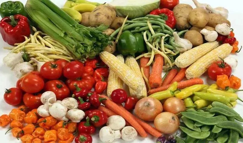 Planetary Health Diet: जानें यह क्या है, इसे कैसे अपनाएं और इसके स्वास्थ्य लाभ क्या Planetary Health Diet: जानें यह क्या है, इसे कैसे अपनाएं और इसके स्वास्थ्य लाभ क्या